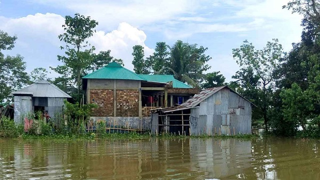 মৌলভীবাজারের হাওরে পানি কমছে ধীরে, বাড়ছে দুর্ভোগ