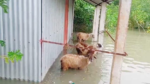 ত্রাণ তো দূরের কথা খোঁজও নেয়নি কেউ