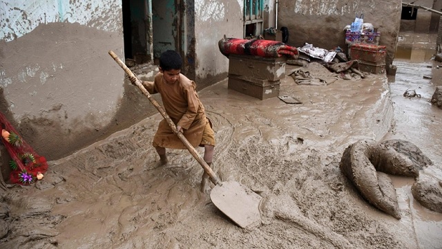 ছবি সংগৃহিত