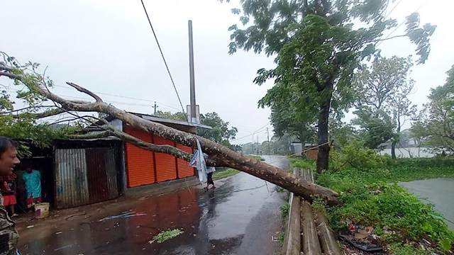 ছবি- সংগৃহীত