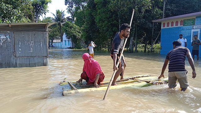 ফাইল ছবি