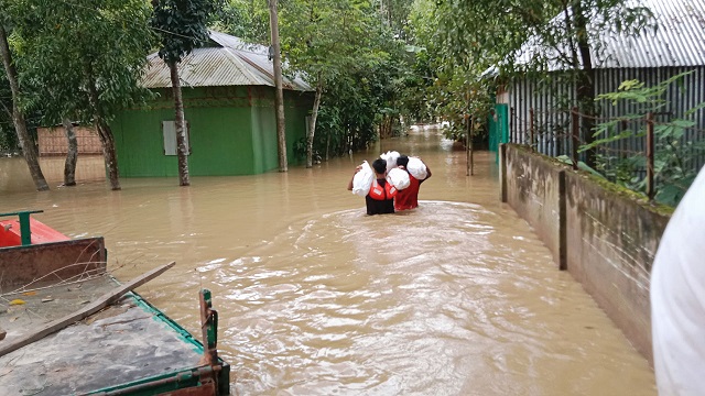 ছবি সংগৃহিত