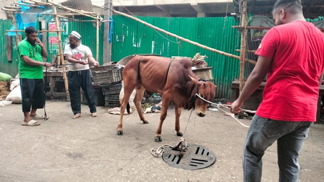 ছবি সংগ্রহীত