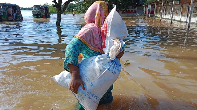 ফাইল ছবি