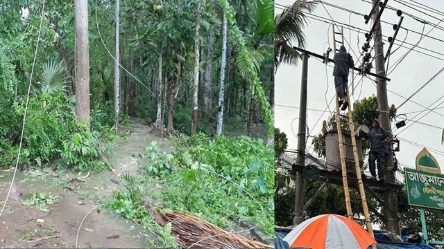 রেমালে পল্লী বিদ্যুতায়ন বোর্ডের ১০৩ কোটি টাকার ক্ষতি