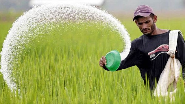 দেশে সার মজুদ আছে ডিসেম্বর পর্যন্ত: কৃষি সচিব