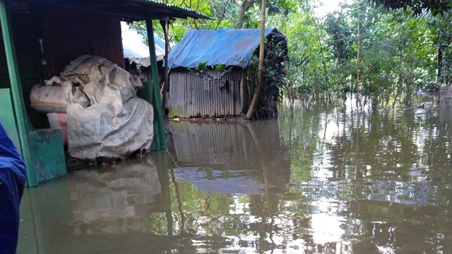 ফাইল ছবি