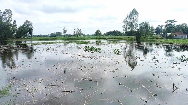 গাইবান্ধায় তিস্তার পানি বিপৎসীমা ছুঁই ছুঁই