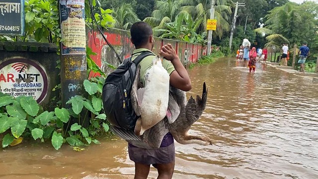 আলো থাকতেই নিরাপদ আশ্রয়ে যাচ্ছেন নোয়াখালীর বানভাসিরা