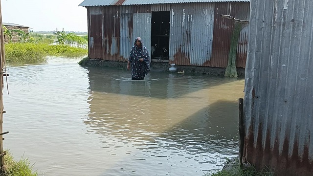 বিপৎসীমার ওপরে ব্রহ্মপুত্র ও ধরলা, বন্যা পরিস্থিতির অবনতি