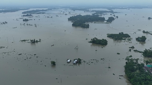 ফাইল ছবি