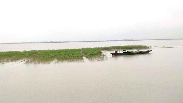 যমুনার পানি বিপৎসীমা ছুঁইছুঁই, বিলীন হচ্ছে নদীপাড়ের বসতভিটা