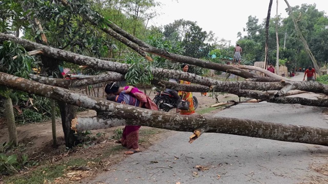 ছবি- সংগৃহীত