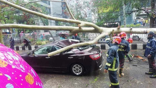 রেমালের প্রভাবে রাজধানীর একাধিক স্থানে ভেঙে পড়েছে গাছ