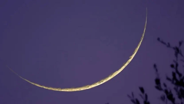 প্রতীকী ছবি