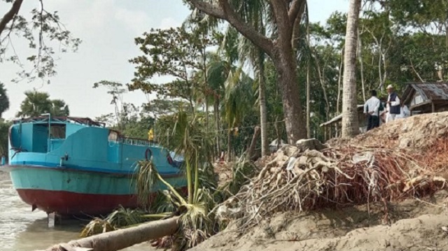 আগুনমুখায় বিলীন হতে চলেছে চালিতাবুনিয়া!